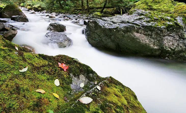 11 Best Hikes in Squamish, BC