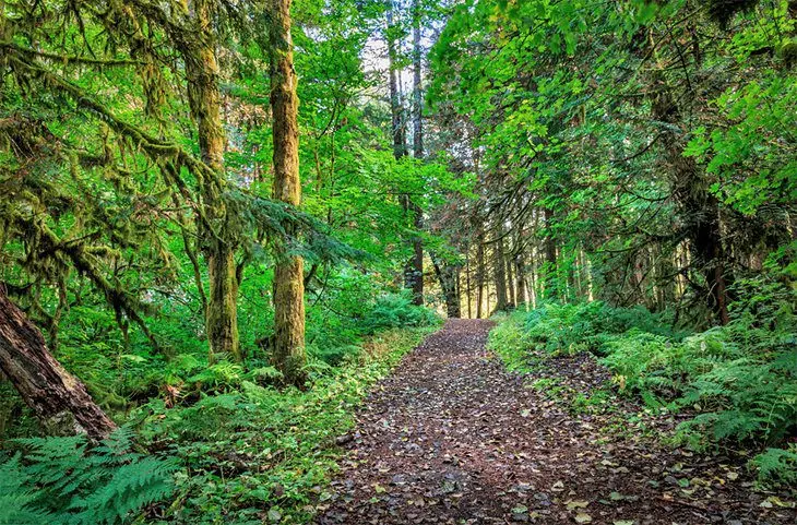 11 Best Hikes in Squamish, BC