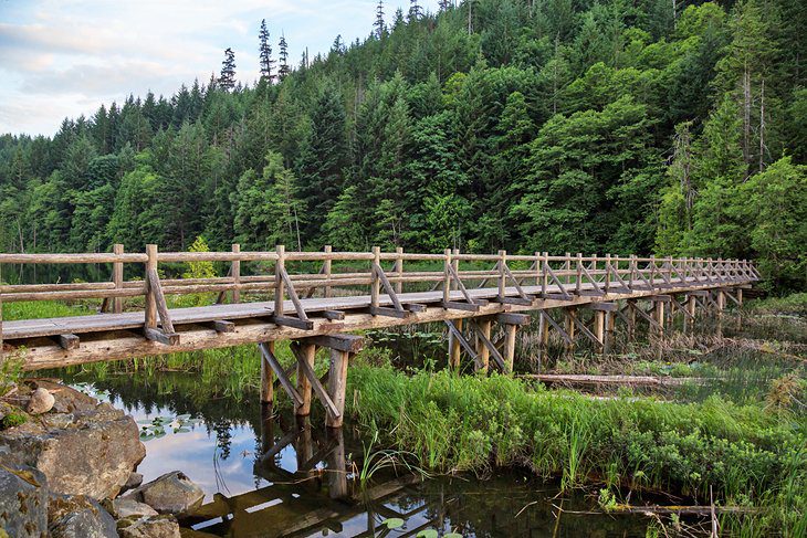 11 Best Hikes in Squamish, BC