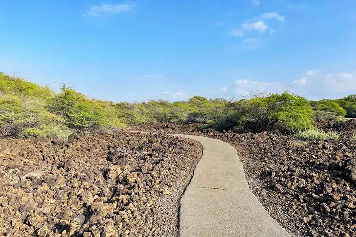 11 Best Hikes on the Big Island of Hawaii