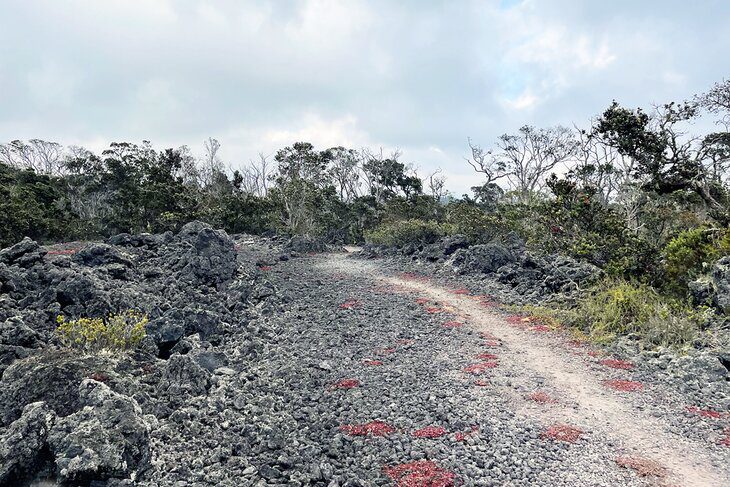 11 Best Hikes on the Big Island of Hawaii