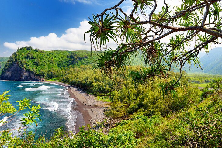 11 Best Hikes on the Big Island of Hawaii