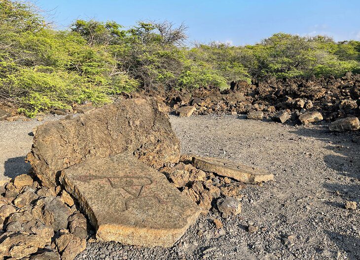 11 Best Hikes on the Big Island of Hawaii