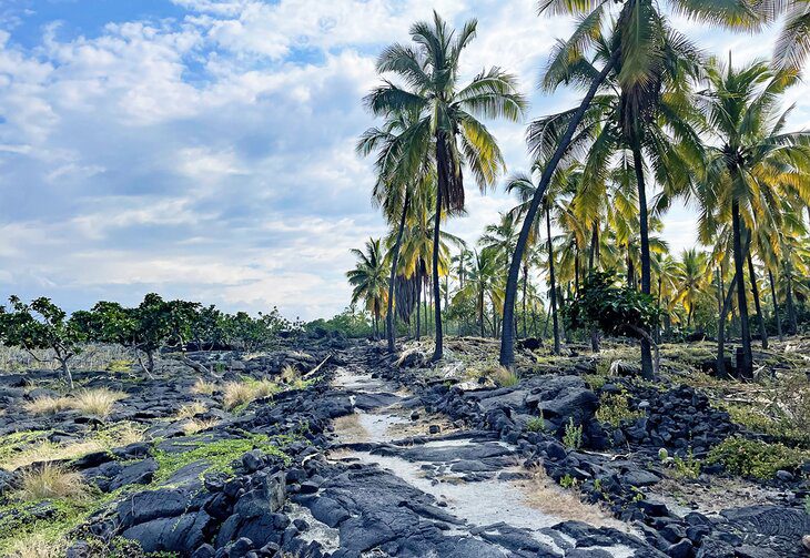 11 Best Hikes on the Big Island of Hawaii