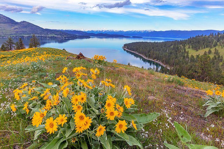 11 Best National & State Parks in Montana