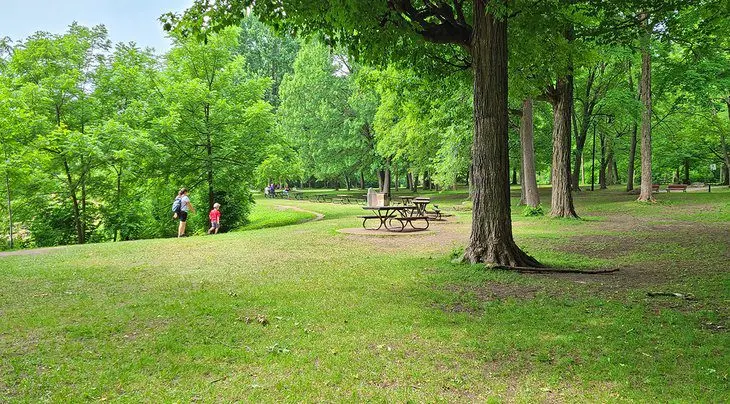 11 Best Parks in Montreal