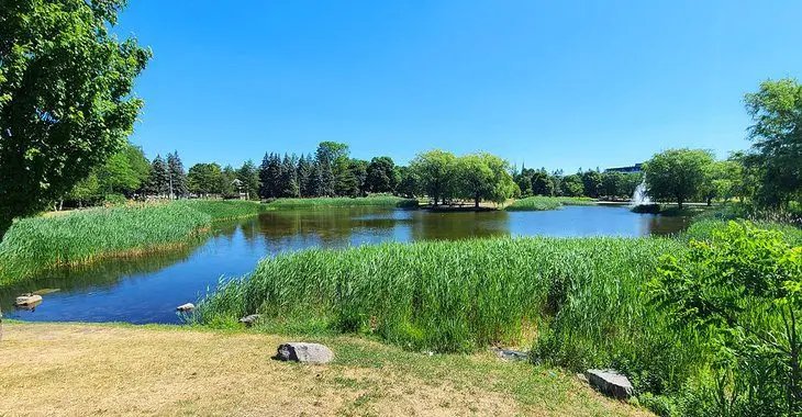 11 Best Parks in Montreal