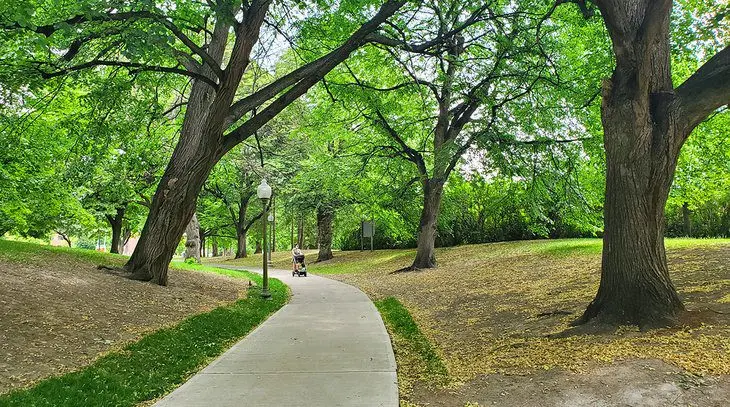 11 Best Parks in Montreal