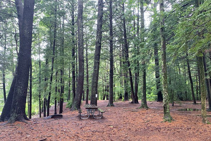 11 Best Places for Camping in Connecticut