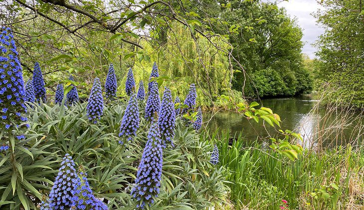 11 Best Public Gardens in London, England