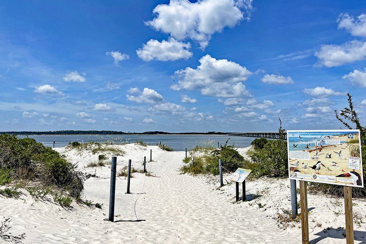 11 Best Things to Do in Amelia Island, FL