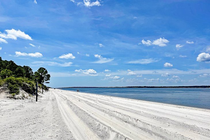 11 Best Things to Do in Amelia Island, FL