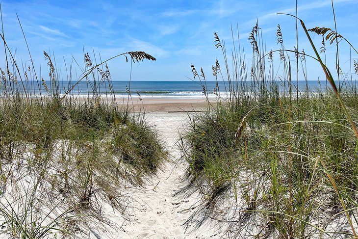 11 Best Things to Do in Amelia Island, FL