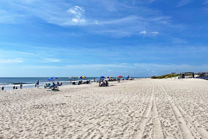 11 Best Things to Do in Amelia Island, FL