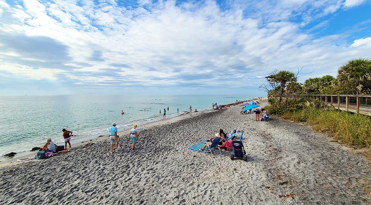 11 Best Things to Do in Venice, Florida