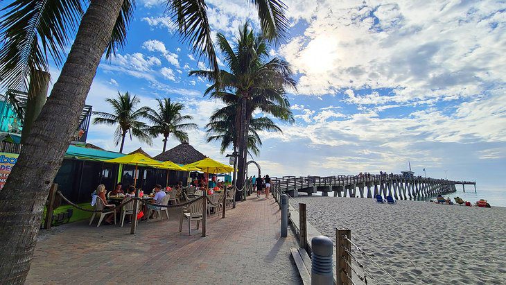 11 Best Things to Do in Venice, Florida