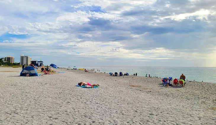 11 Best Things to Do in Venice, Florida