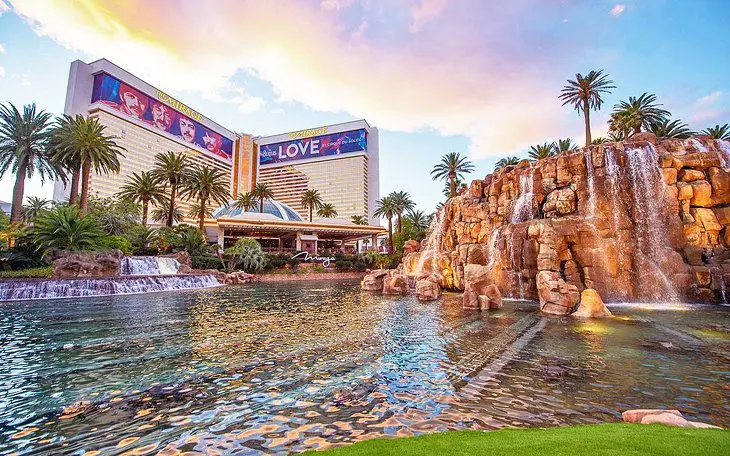 11 Top Pet-Friendly Hotels in Las Vegas