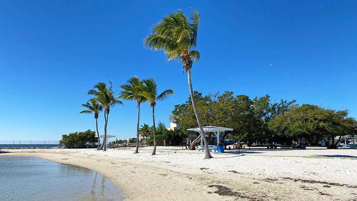 11 Top-Rated Attractions & Things to Do in Key Largo, FL