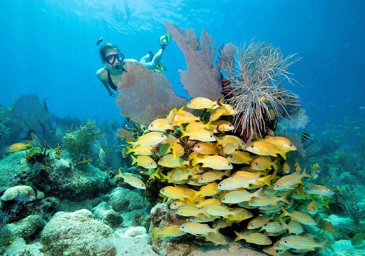 11 Top-Rated Attractions & Things to Do in Key Largo, FL