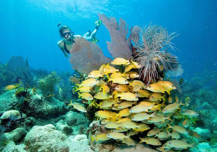 11 Top-Rated Attractions & Things to Do in Key Largo, FL