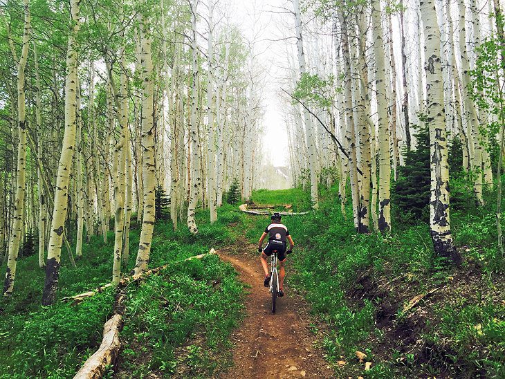 11 Top-Rated Attractions & Things to Do in Park City, UT