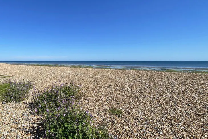 11 Top-Rated Beaches in Sussex