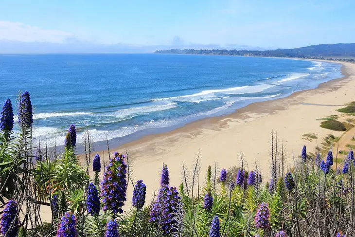 11 Top-Rated Beaches in the San Francisco Area