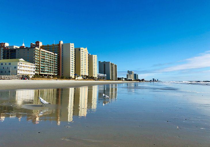 11 Top-Rated Beaches near Wilmington, NC