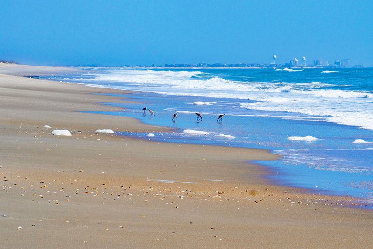 11 Top-Rated Beaches near Wilmington, NC