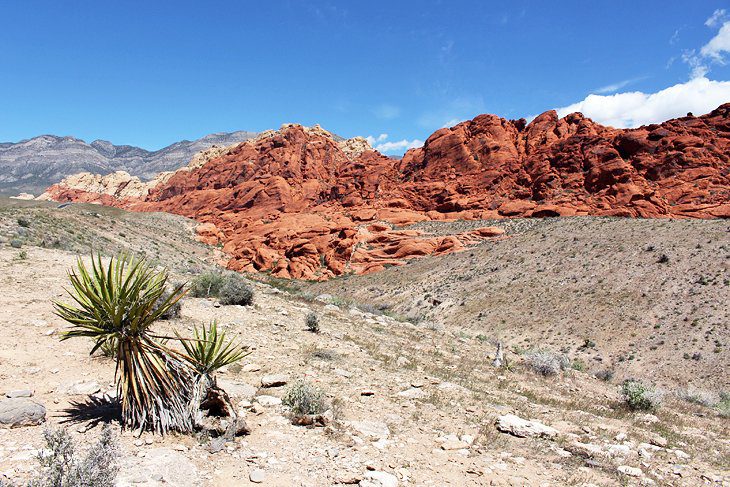 11 Top-Rated Day Trips from Las Vegas, NV