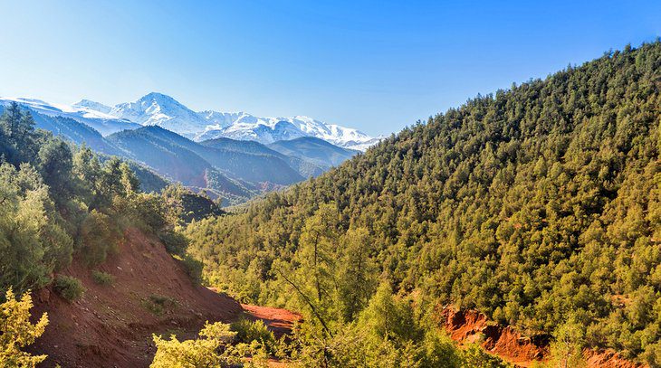 11 Top-Rated Day Trips from Marrakesh