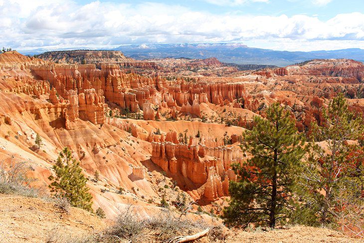 11 Top-Rated Hikes in Bryce Canyon National Park