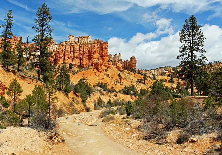 11 Top-Rated Hikes in Bryce Canyon National Park