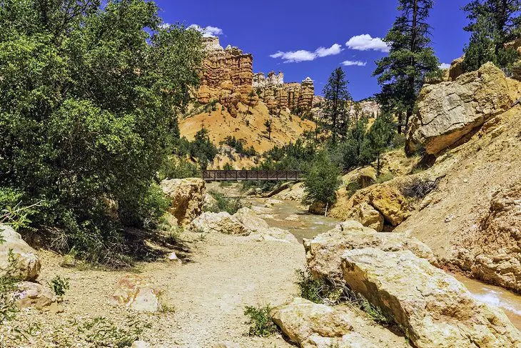 11 Top-Rated Hikes in Bryce Canyon National Park