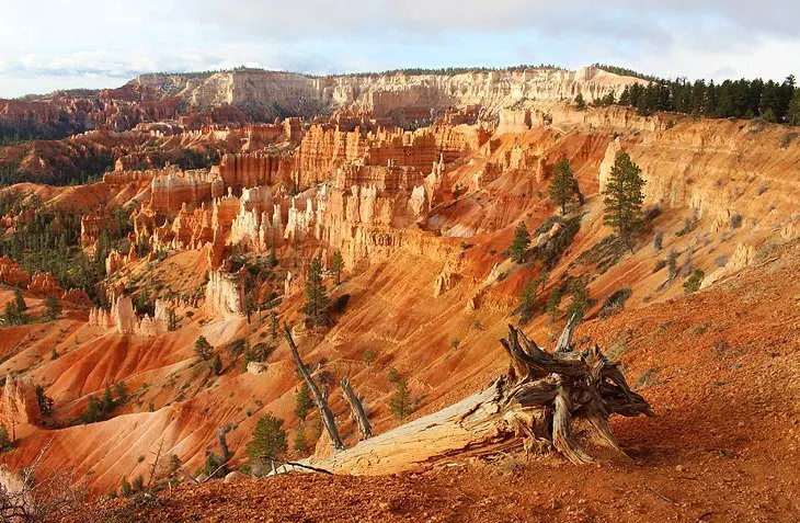 11 Top-Rated Hikes in Bryce Canyon National Park