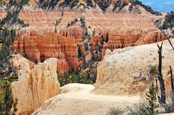 11 Top-Rated Hikes in Bryce Canyon National Park