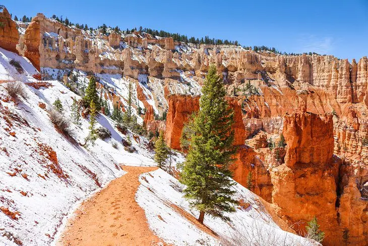 11 Top-Rated Hikes in Bryce Canyon National Park