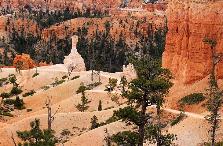 11 Top-Rated Hikes in Bryce Canyon National Park