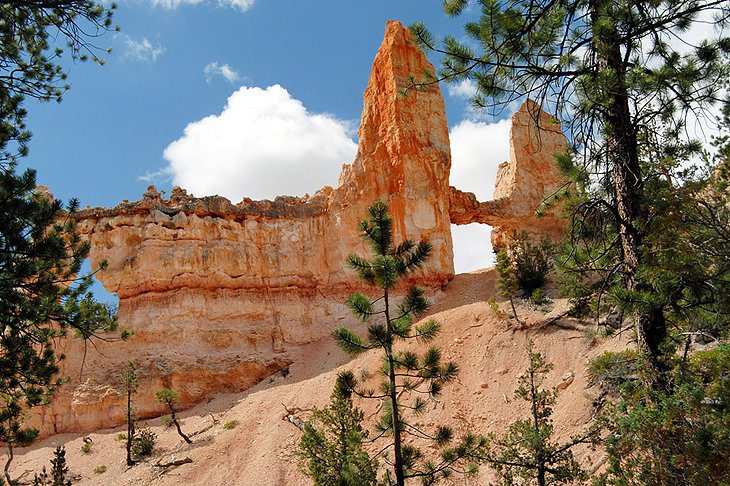 11 Top-Rated Hikes in Bryce Canyon National Park