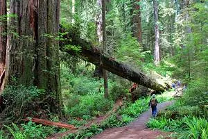 11 Top-Rated Hikes in Yosemite National Park