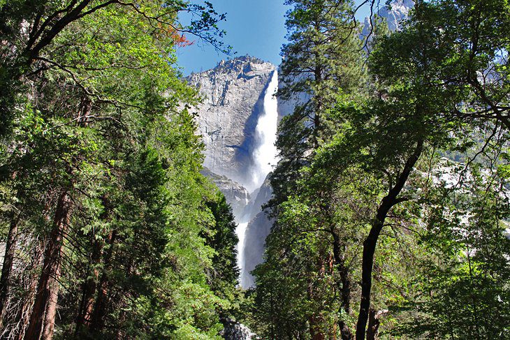 11 Top-Rated Hikes in Yosemite National Park