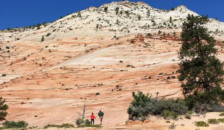 11 Top-Rated Hiking Trails in Zion National Park