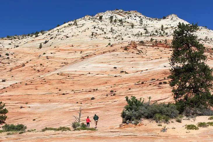 11 Top-Rated Hiking Trails in Zion National Park