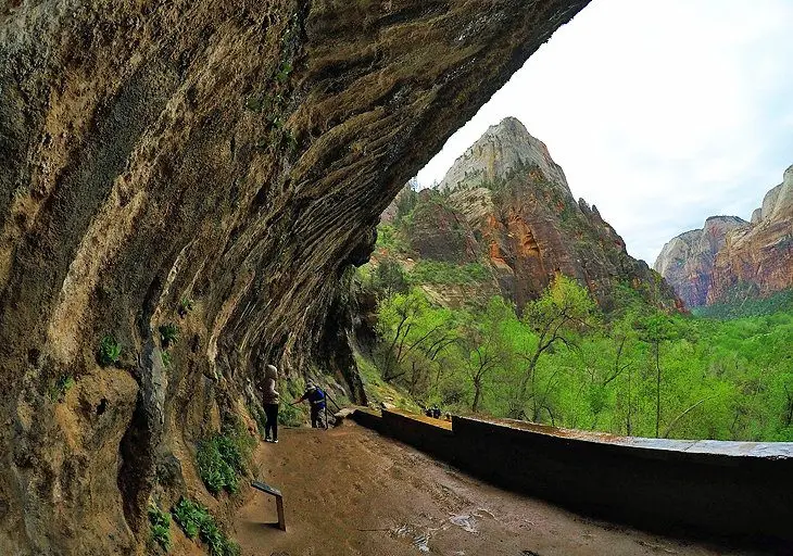 11 Top-Rated Hiking Trails in Zion National Park