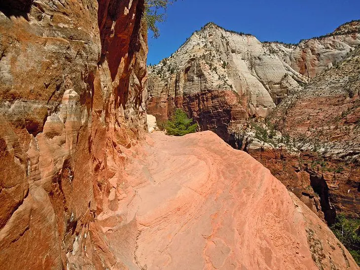 11 Top-Rated Hiking Trails in Zion National Park