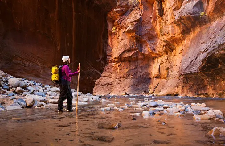 11 Top-Rated Hiking Trails in Zion National Park