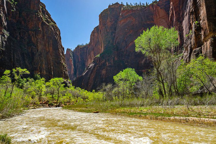 11 Top-Rated Hiking Trails in Zion National Park