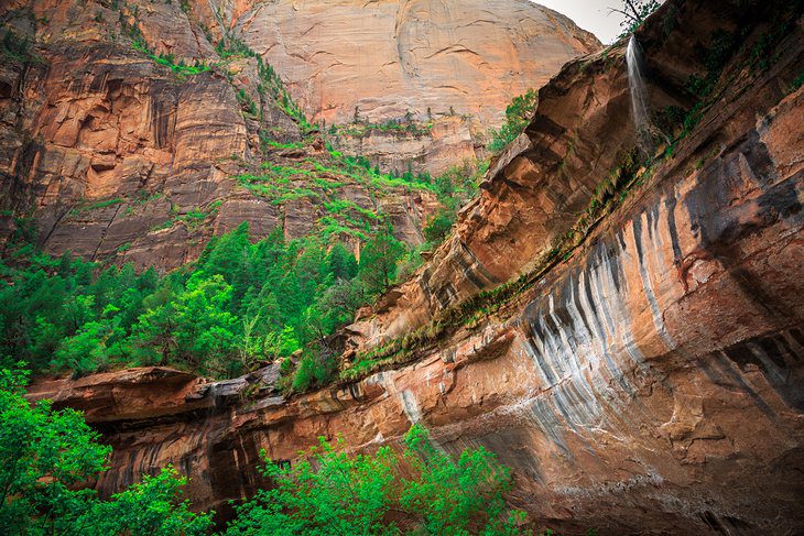 11 Top-Rated Hiking Trails in Zion National Park