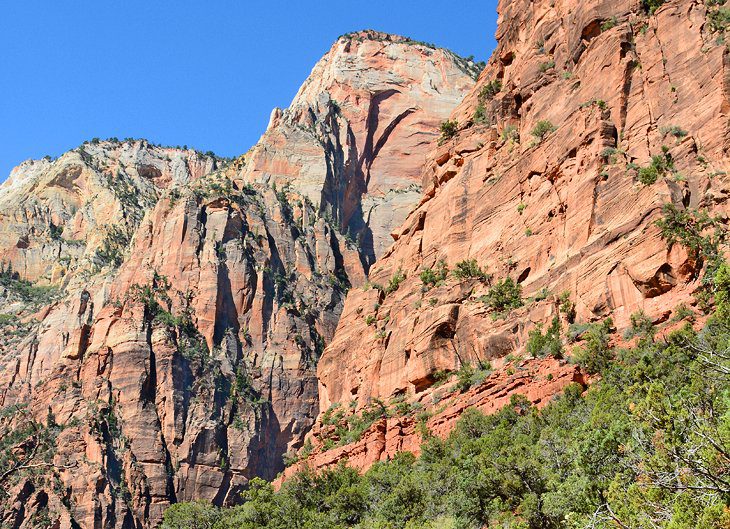 11 Top-Rated Hiking Trails in Zion National Park